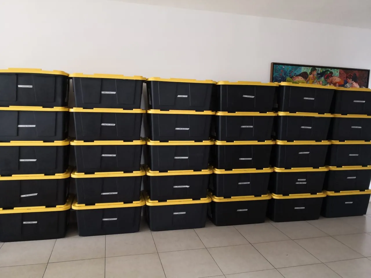 Cajas plásticas de Mudanzas Navarro 507 apiladas y rotuladas en un apartamento