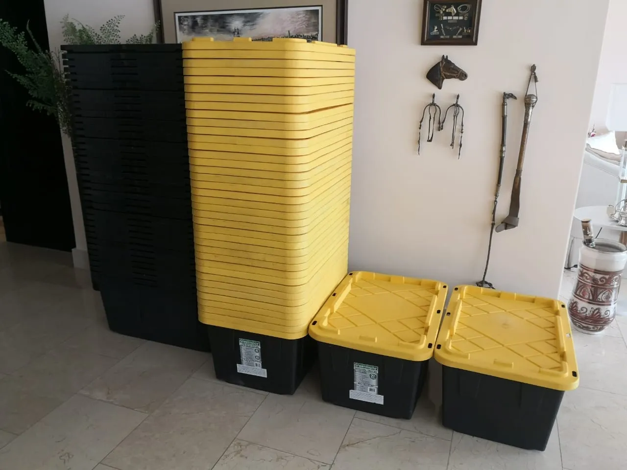 Cajas de mudanza organizadas en la sala de un apartamento